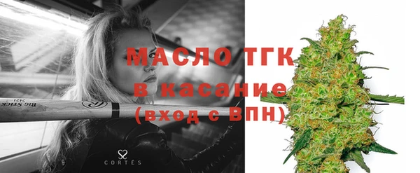 хмурый Арсеньев
