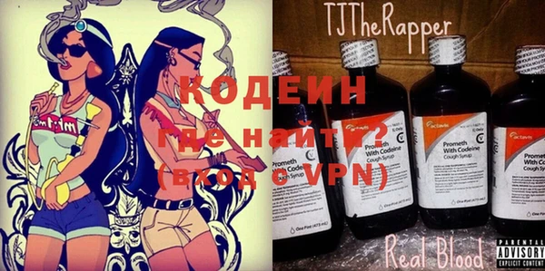 хмурый Арсеньев