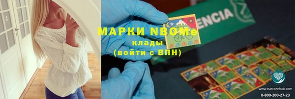 хмурый Арсеньев