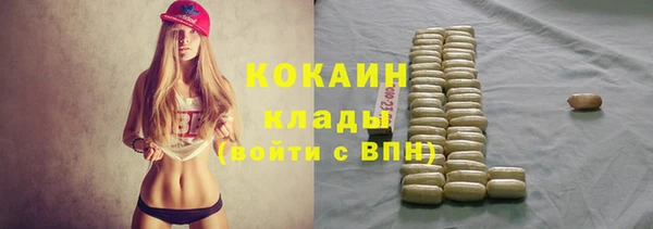 хмурый Арсеньев