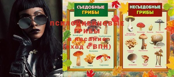 хмурый Арсеньев